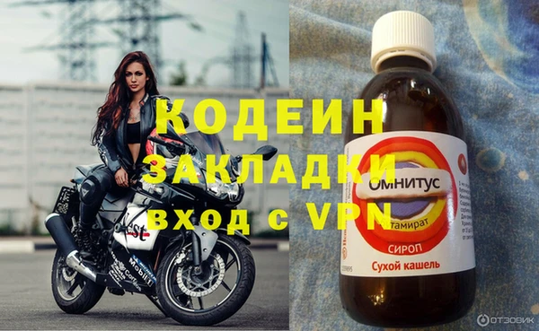 ешки Бородино