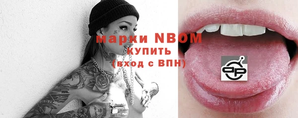 бошки Бронницы