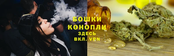 ешки Бородино