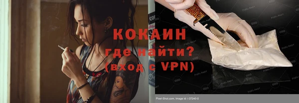 бошки Бронницы