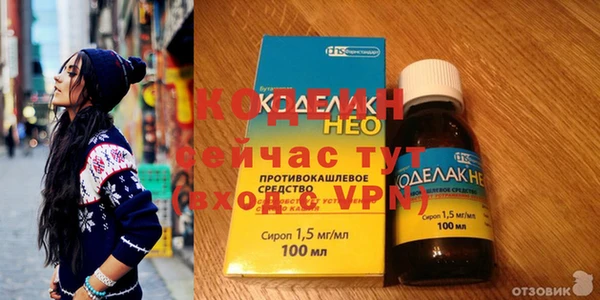 ешки Бородино