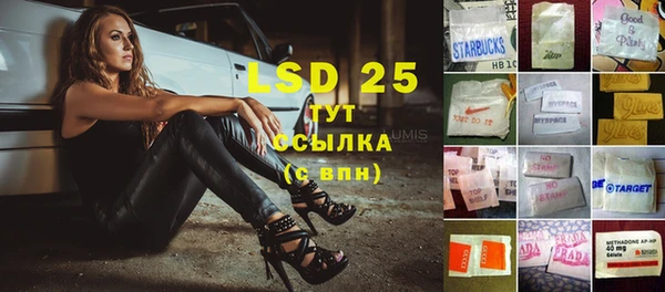 ешки Бородино